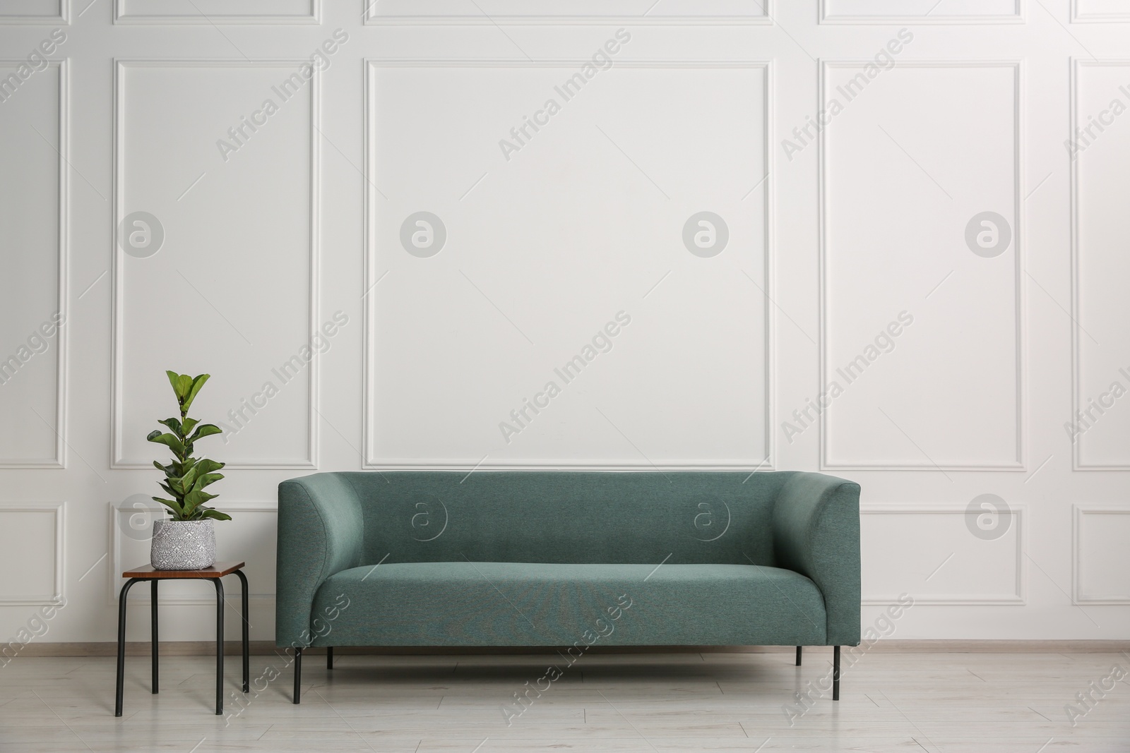 Photo of Stylish sofa and plant on side table near white wall