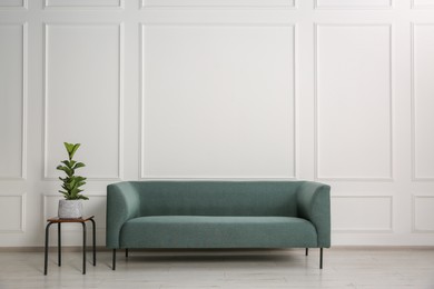 Stylish sofa and plant on side table near white wall