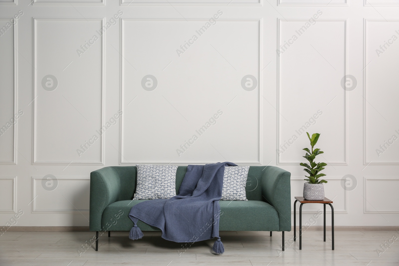 Photo of Stylish sofa with cushions, blanket and plant on side table near white wall