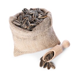 Photo of Burlap sack with sunflower seeds and scoop isolated on white