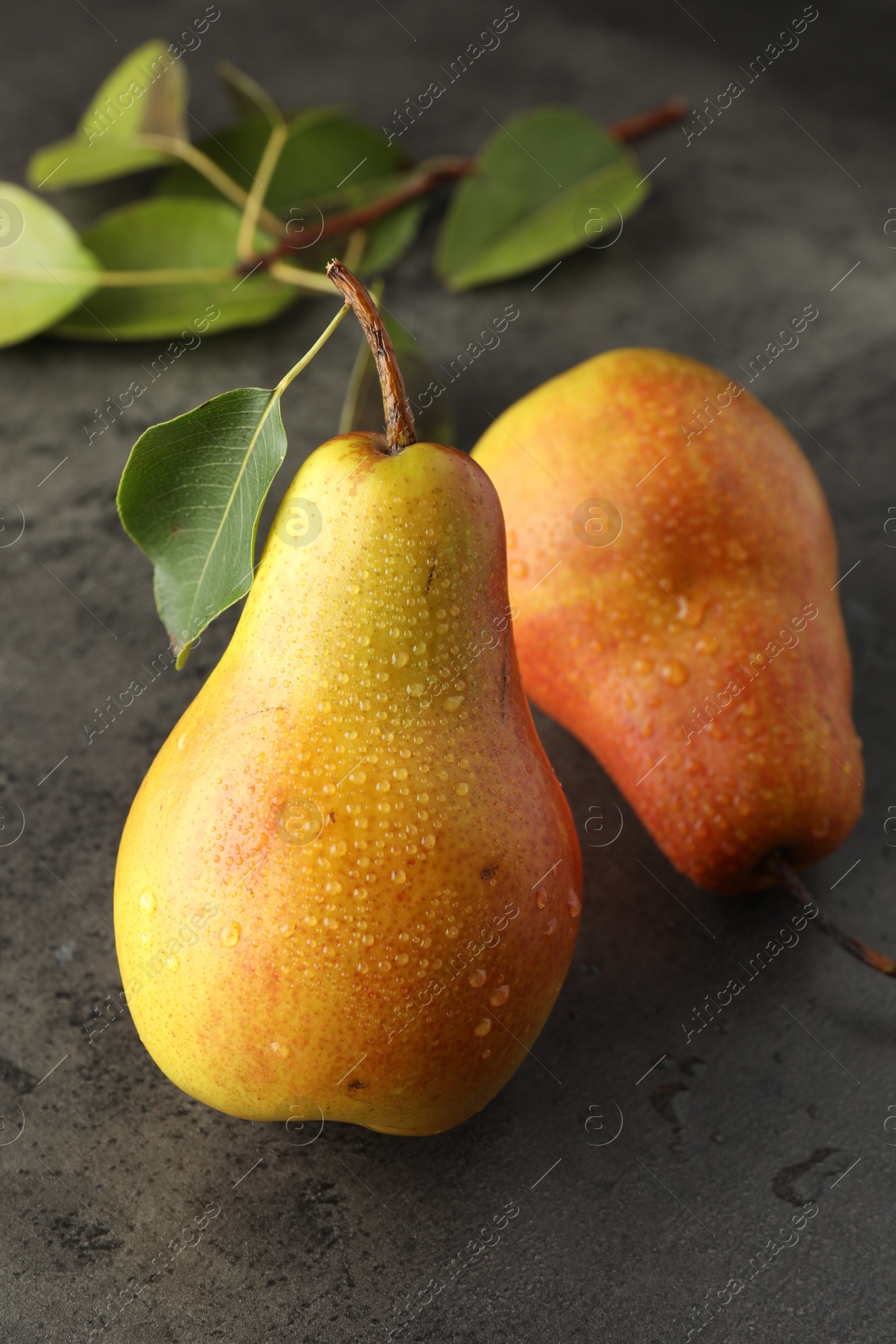 Photo of Two ripe juicy pears on grey table, closeup