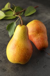 Photo of Two ripe juicy pears on grey table, closeup