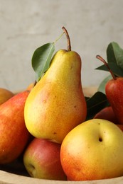 Photo of Many ripe juicy pears in bowl, closeup