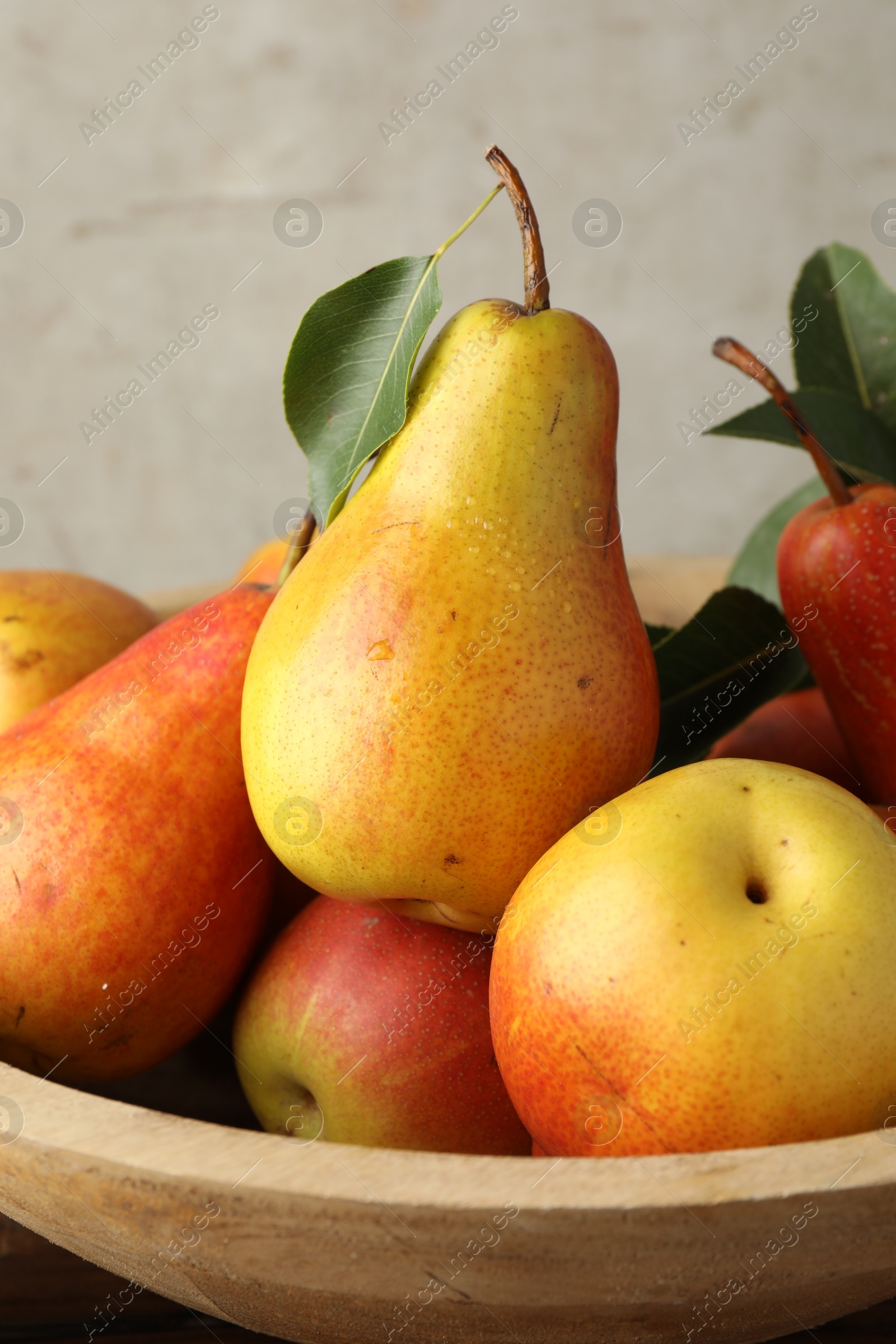 Photo of Many ripe juicy pears in bowl, closeup