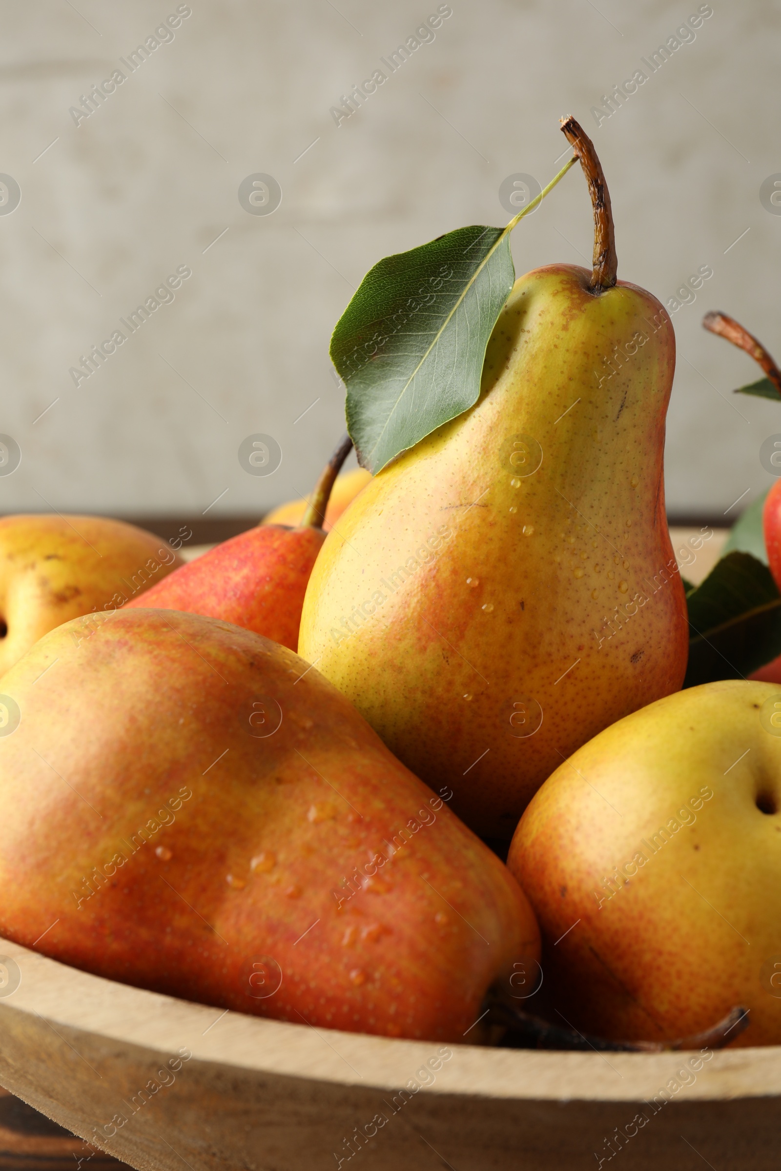 Photo of Many ripe juicy pears in bowl, closeup