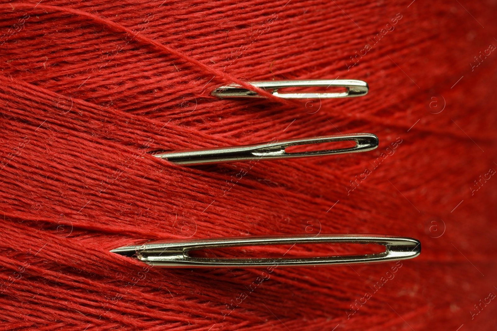 Photo of Spool of red sewing thread with needles, macro view