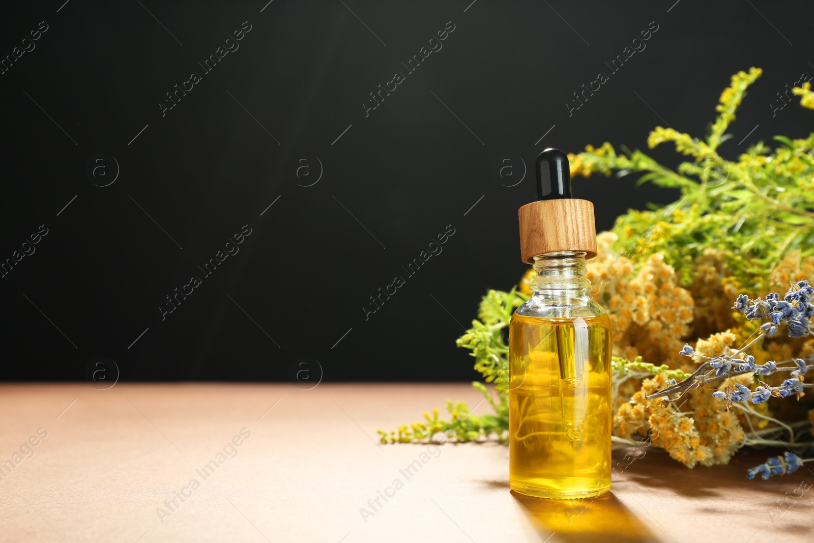 Photo of Tincture in bottle and different herbs on color background, space for text