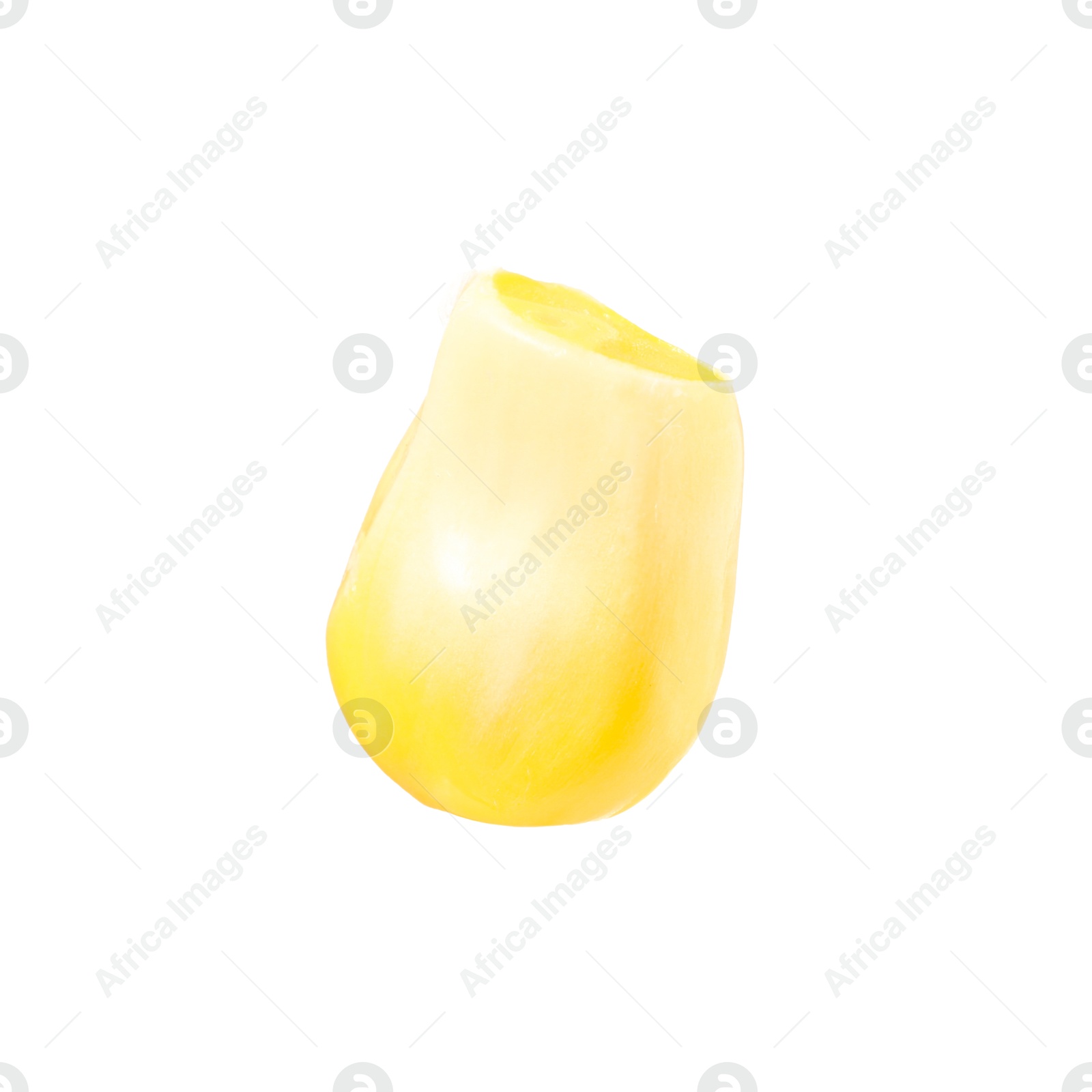 Photo of One fresh corn kernel isolated on white