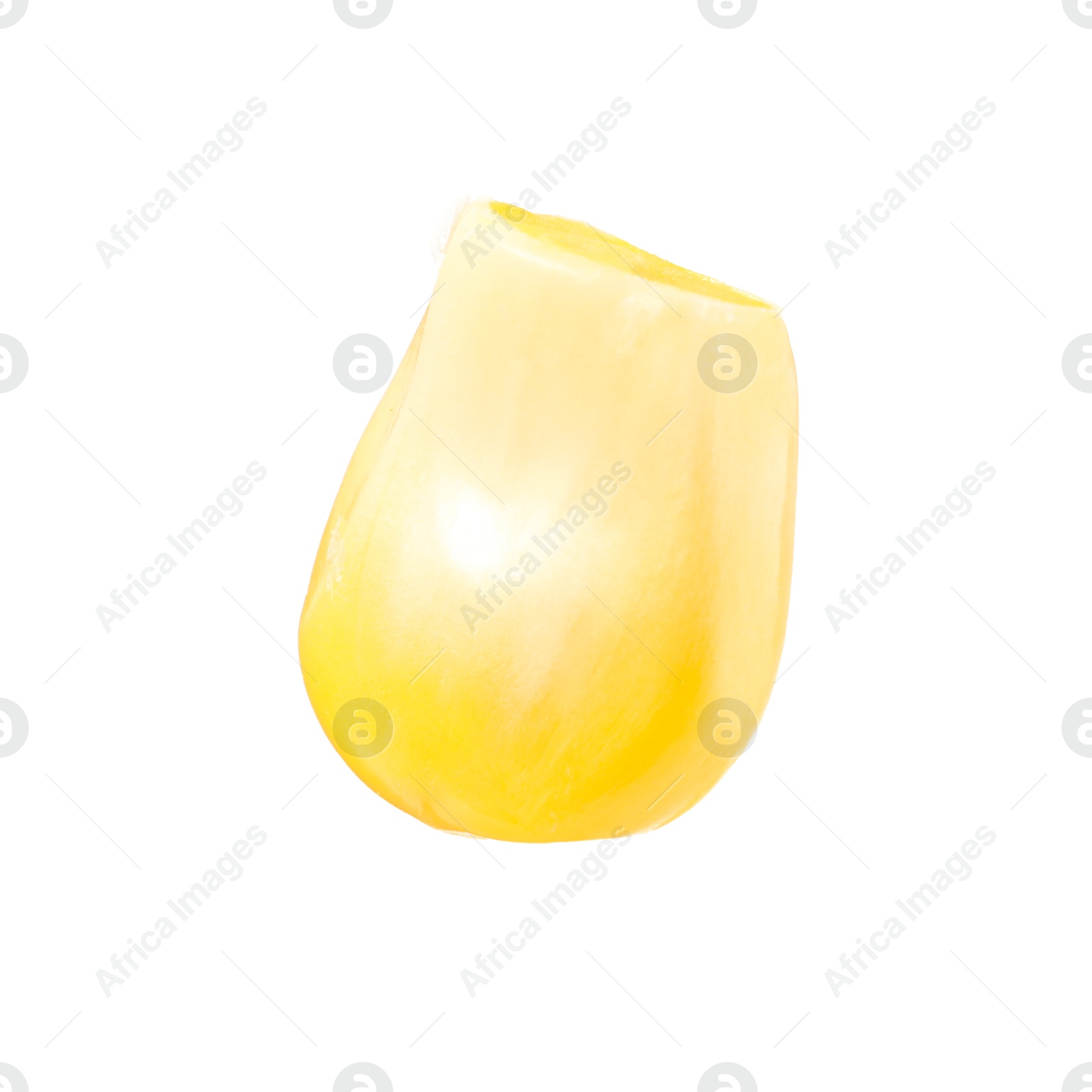 Photo of One fresh corn kernel isolated on white