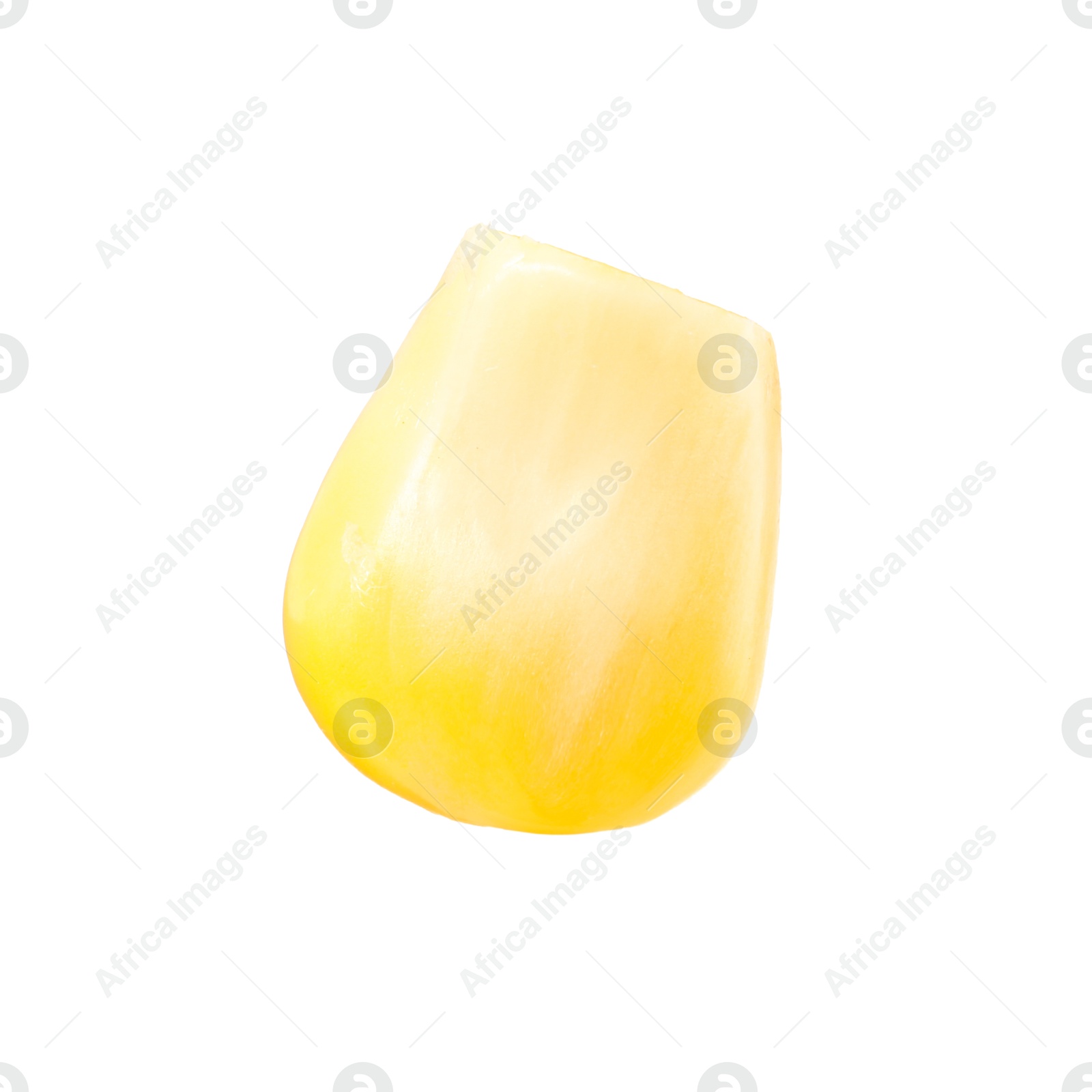 Photo of One fresh corn kernel isolated on white