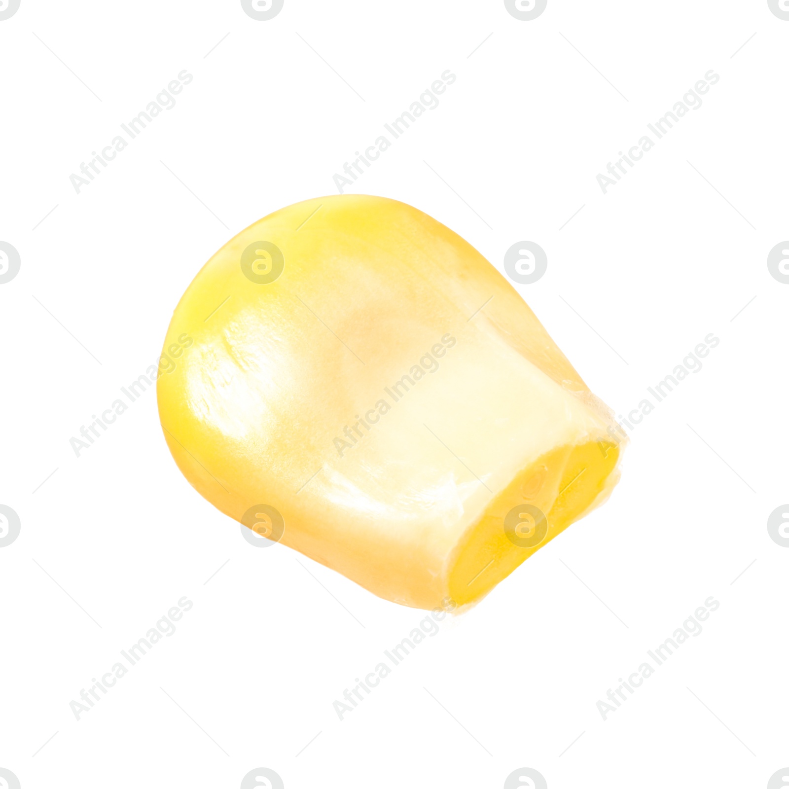 Photo of One fresh corn kernel isolated on white