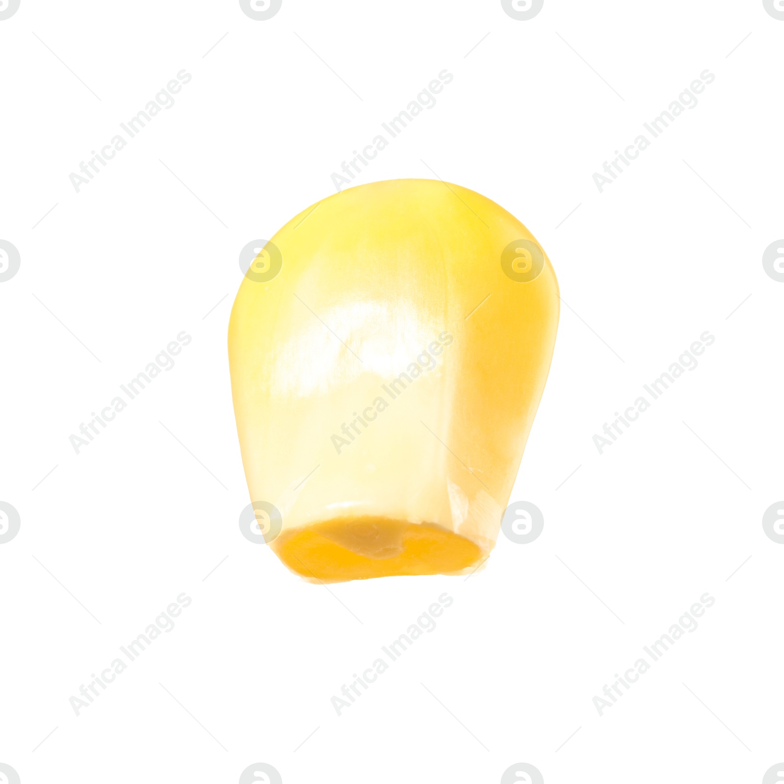 Photo of One fresh corn kernel isolated on white