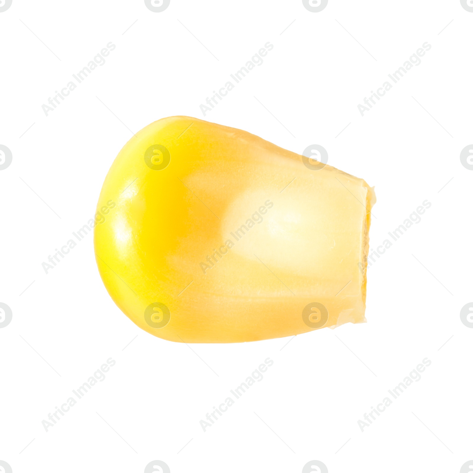 Photo of One fresh corn kernel isolated on white