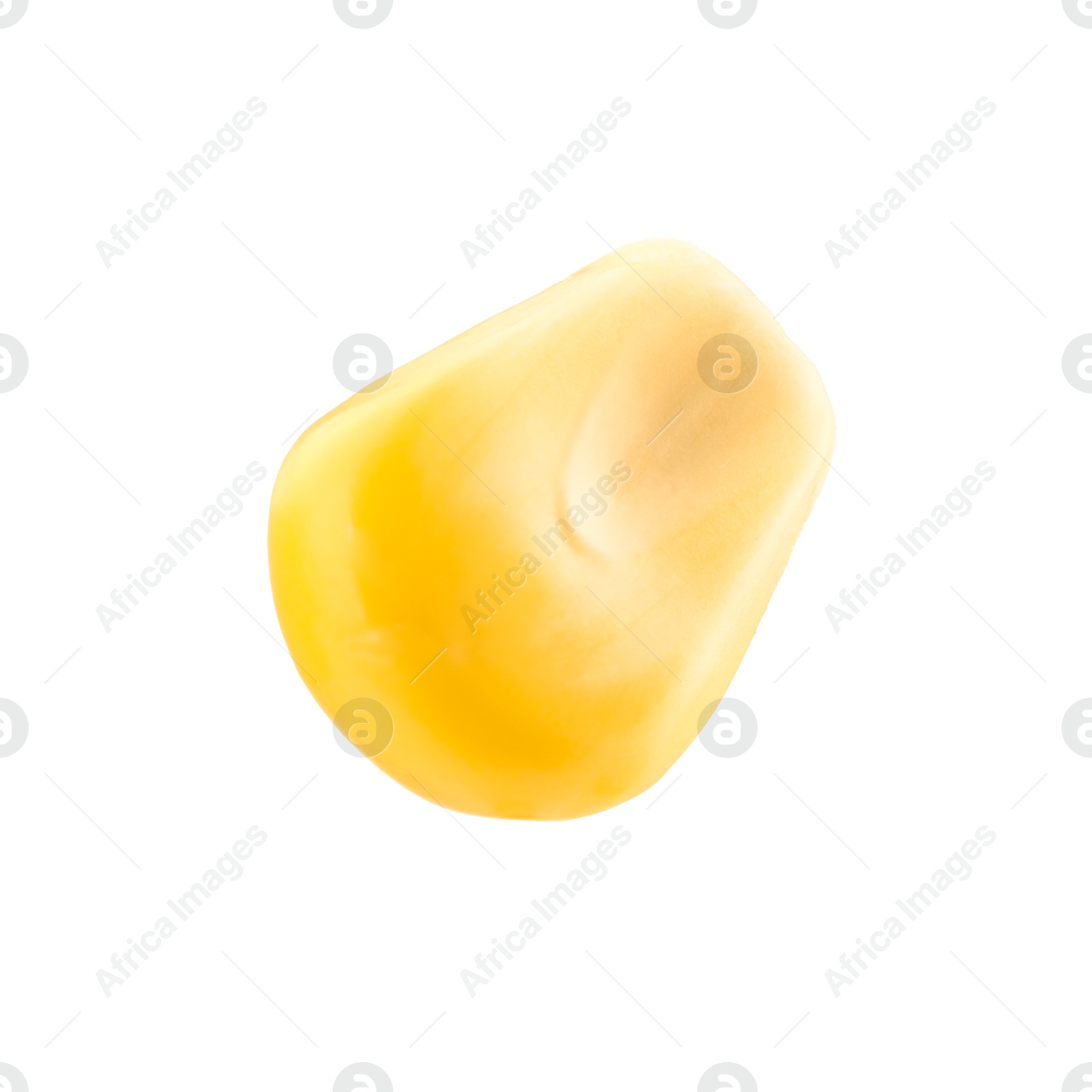 Photo of One fresh corn kernel isolated on white