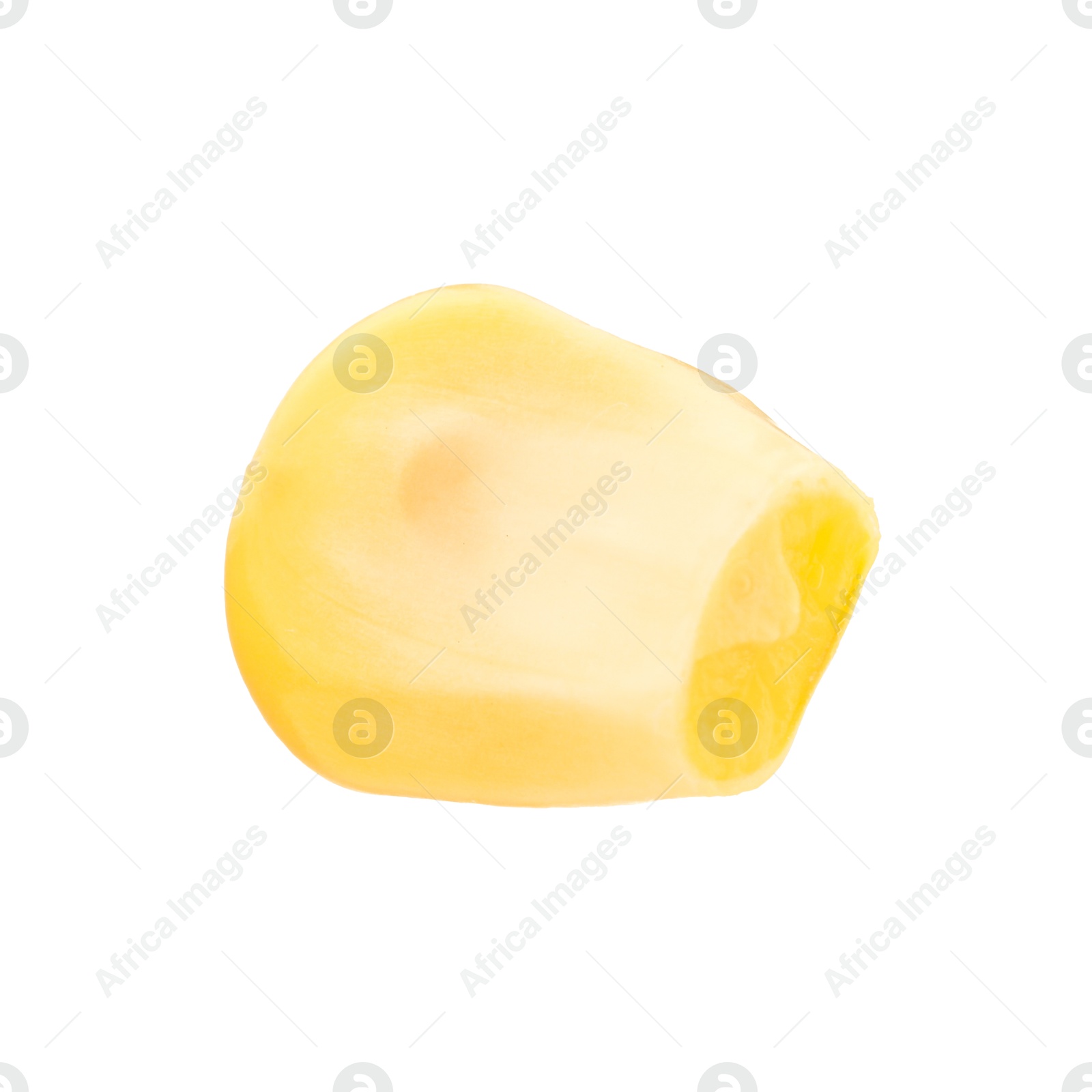 Photo of One fresh corn kernel isolated on white