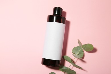 Photo of Bottle of shampoo and eucalyptus branch on pink background, flat lay