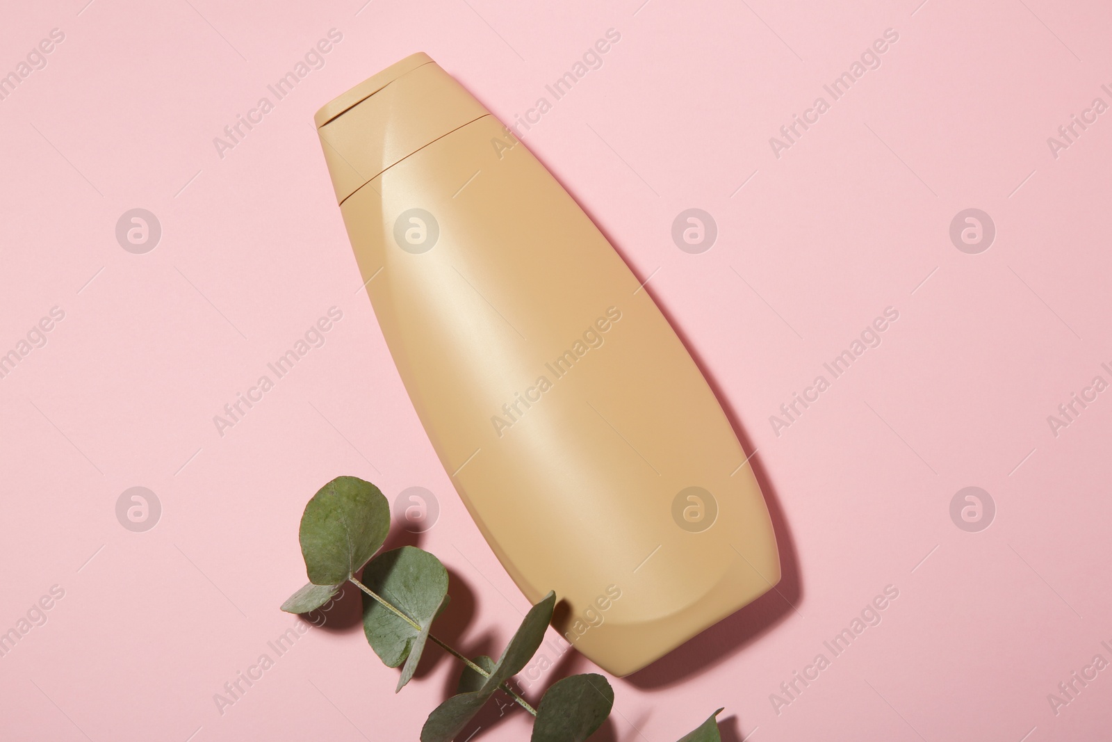 Photo of Bottle of shampoo and eucalyptus branch on pink background, flat lay