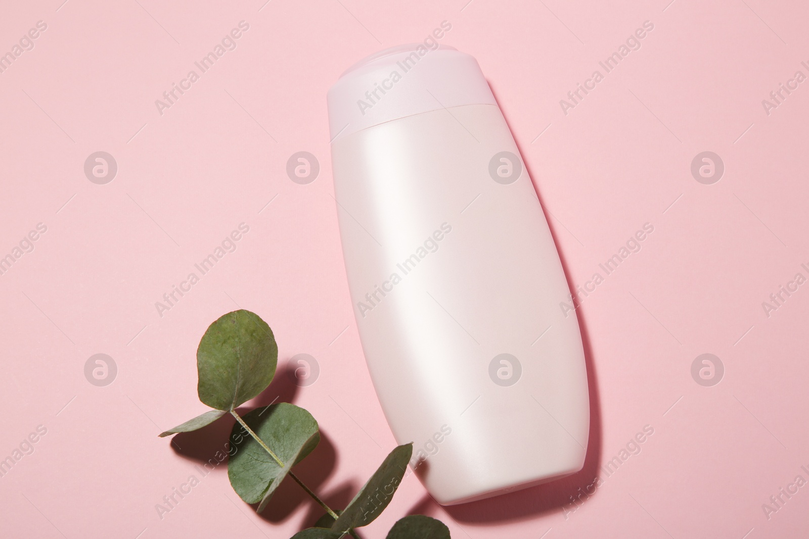 Photo of Bottle of shampoo and eucalyptus branch on pink background, flat lay