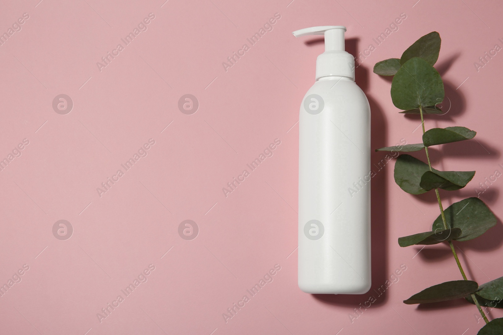 Photo of Bottle of shampoo and eucalyptus branch on pink background, flat lay. Space for text