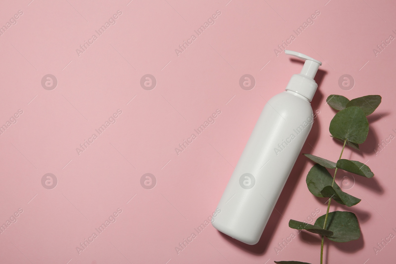 Photo of Bottle of shampoo and eucalyptus branch on pink background, flat lay. Space for text