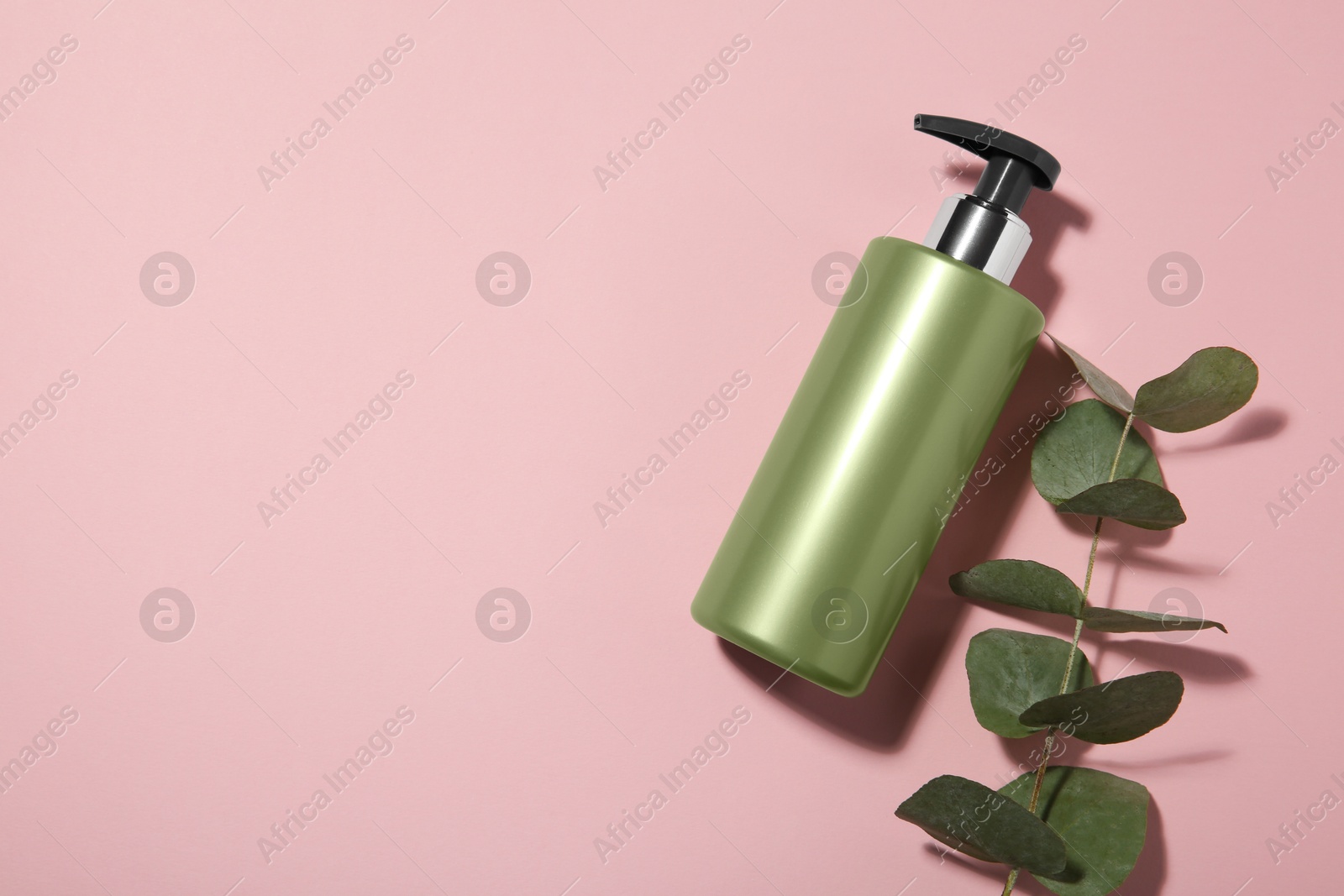 Photo of Bottle of shampoo and eucalyptus branch on pink background, flat lay. Space for text