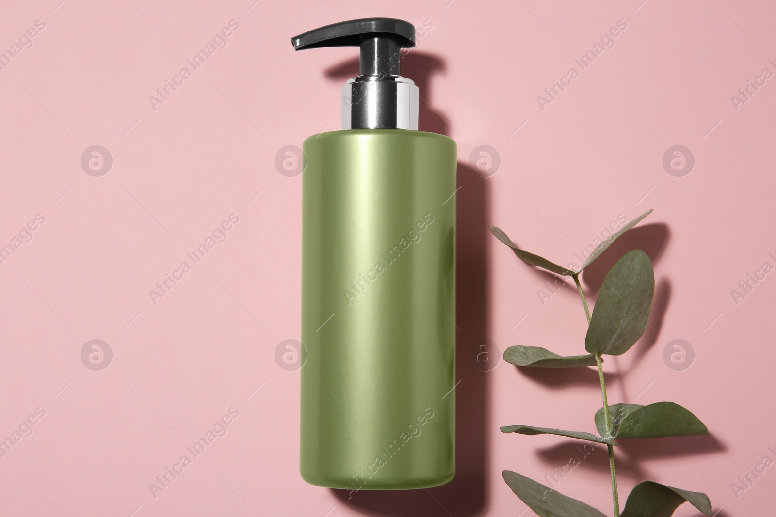 Photo of Bottle of shampoo and eucalyptus branch on pink background, flat lay