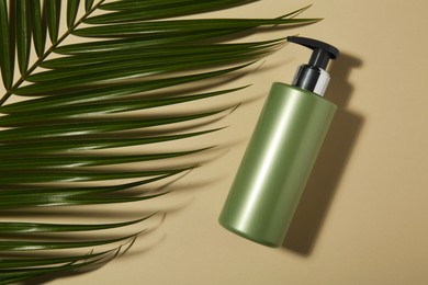 Photo of Bottle of shampoo and palm leaf on beige background, flat lay