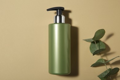 Photo of Bottle of shampoo and eucalyptus branch on beige background, flat lay