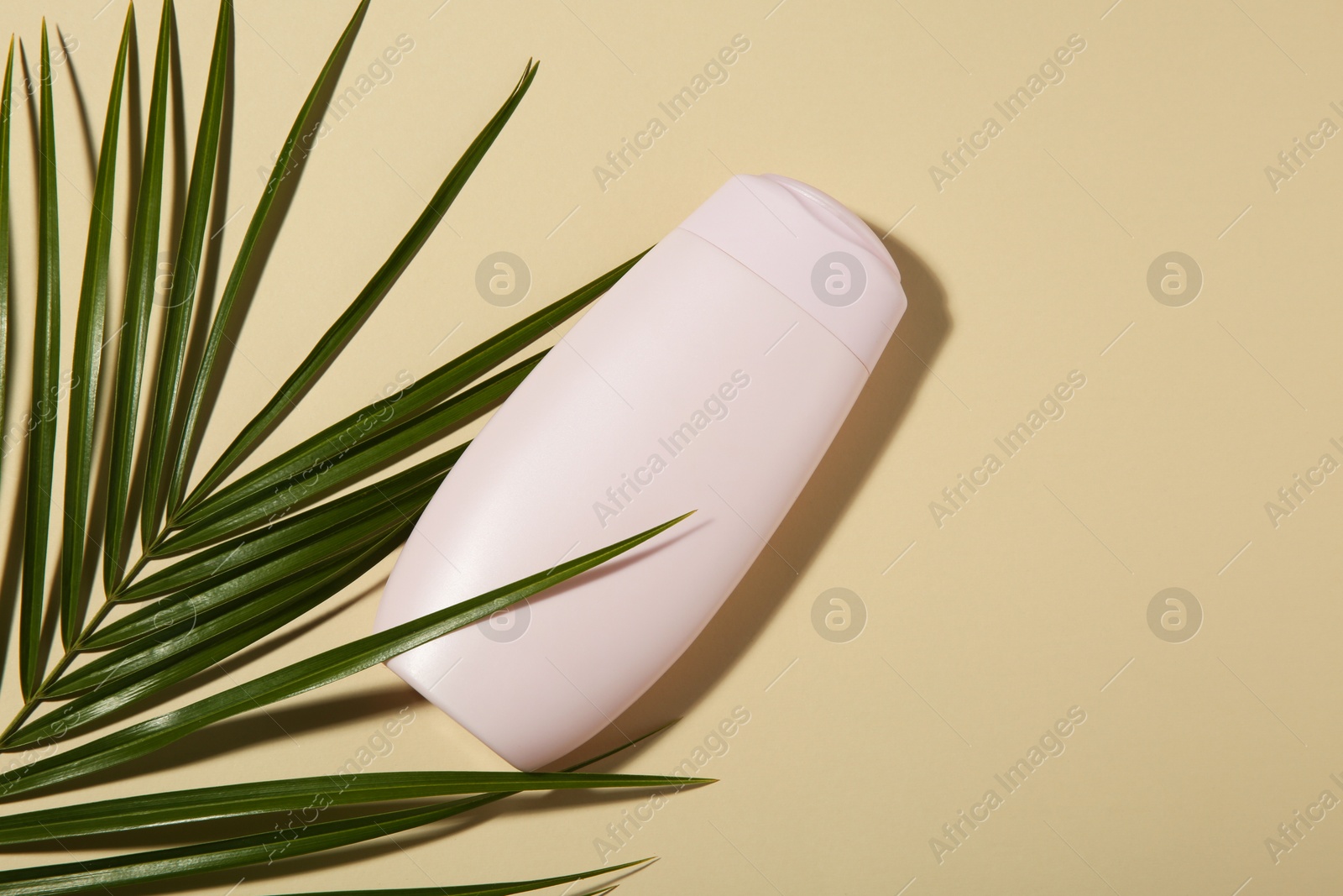 Photo of Bottle of shampoo and palm leaf on beige background, flat lay