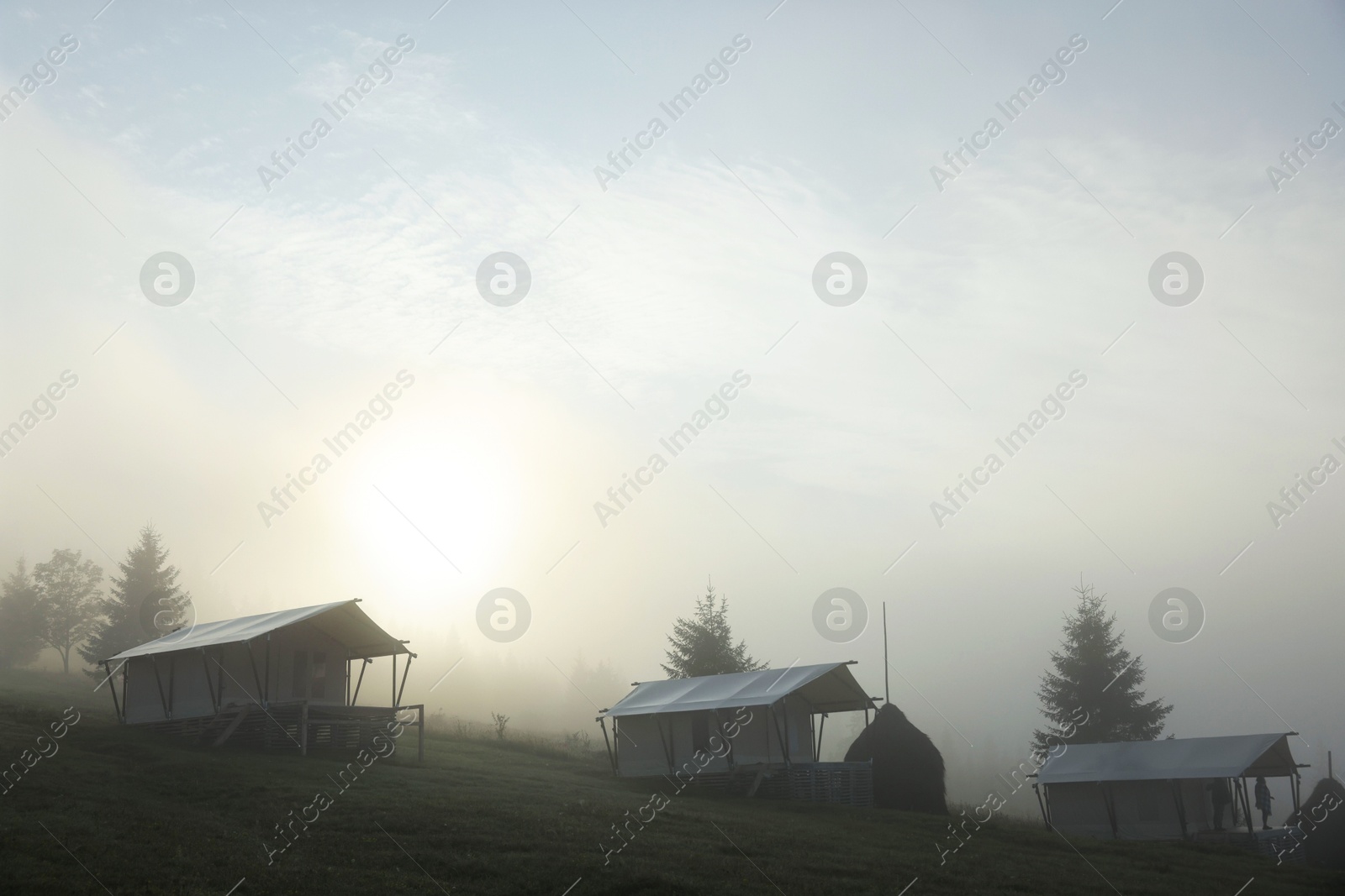 Photo of Many houses and trees covered with fog in morning