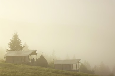 Photo of Houses and trees covered with fog in morning