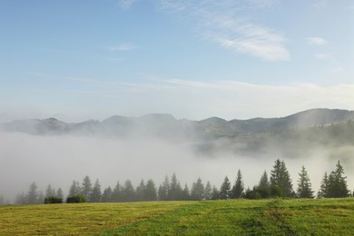 Photo of Picturesque view of mountains covered with fog