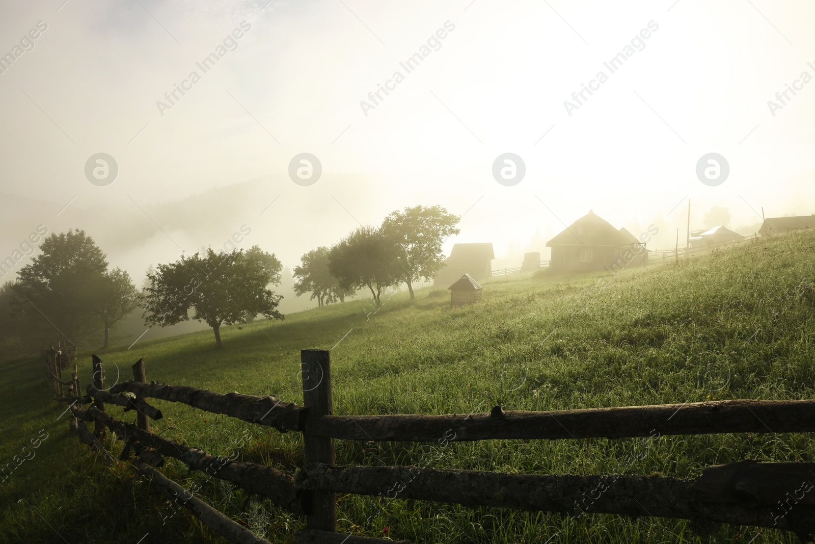 Photo of Many houses and beautiful trees covered with fog in morning