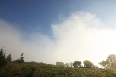 Photo of Beautiful view of houses and trees covered with fog in morning