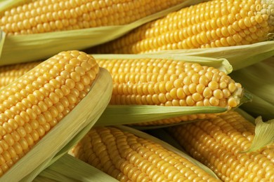 Photo of Many fresh ripe corncobs with green husks as background, closeup