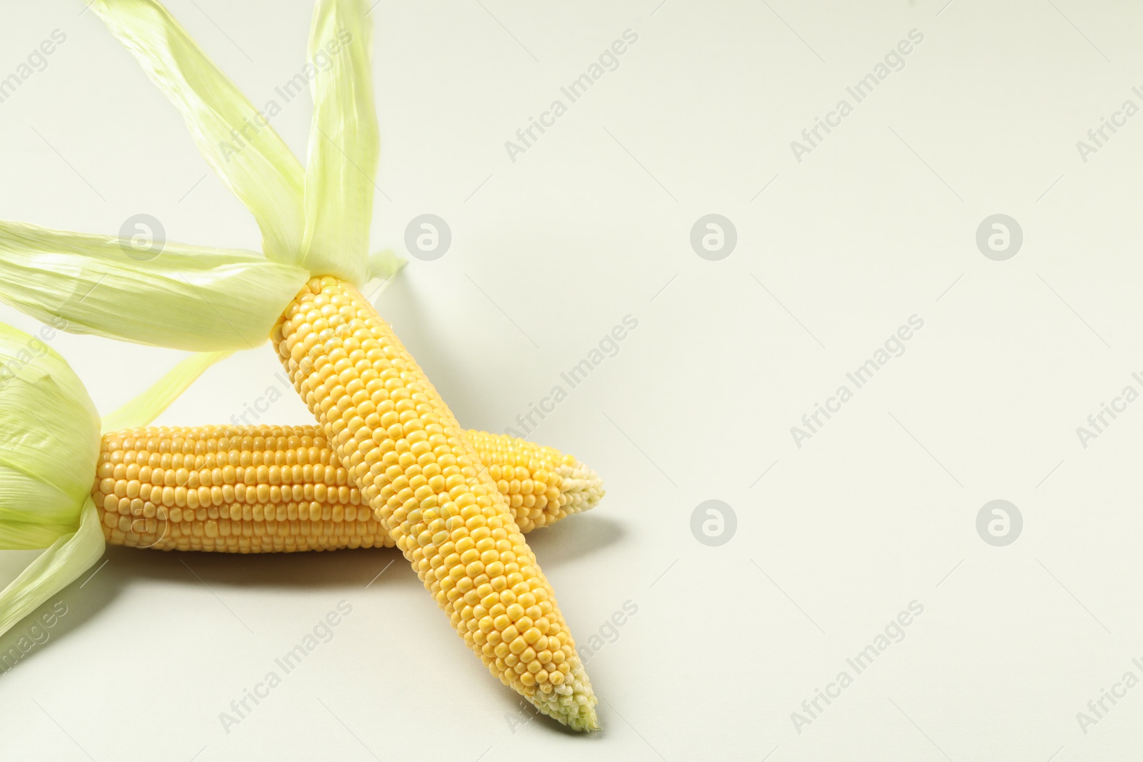 Photo of Fresh ripe corncob with green husks on light grey background. Space for text