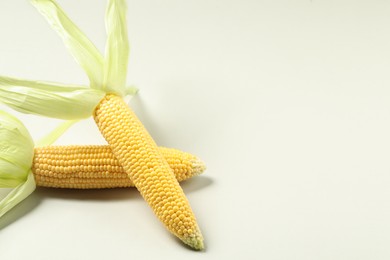 Photo of Fresh ripe corncob with green husks on light grey background. Space for text