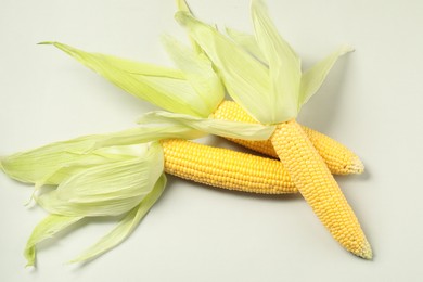 Photo of Fresh ripe corncob with green husks on light grey background