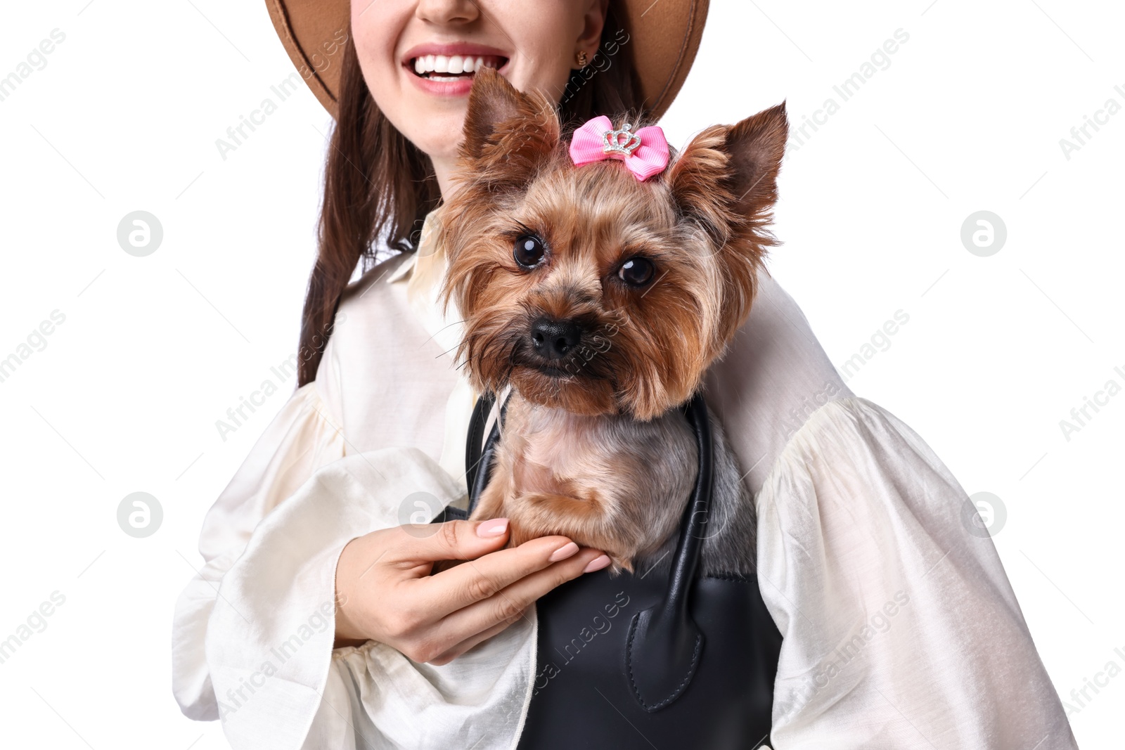 Photo of Young woman holding bag with cute Yorkshire Terrier dog isolated on white, closeup