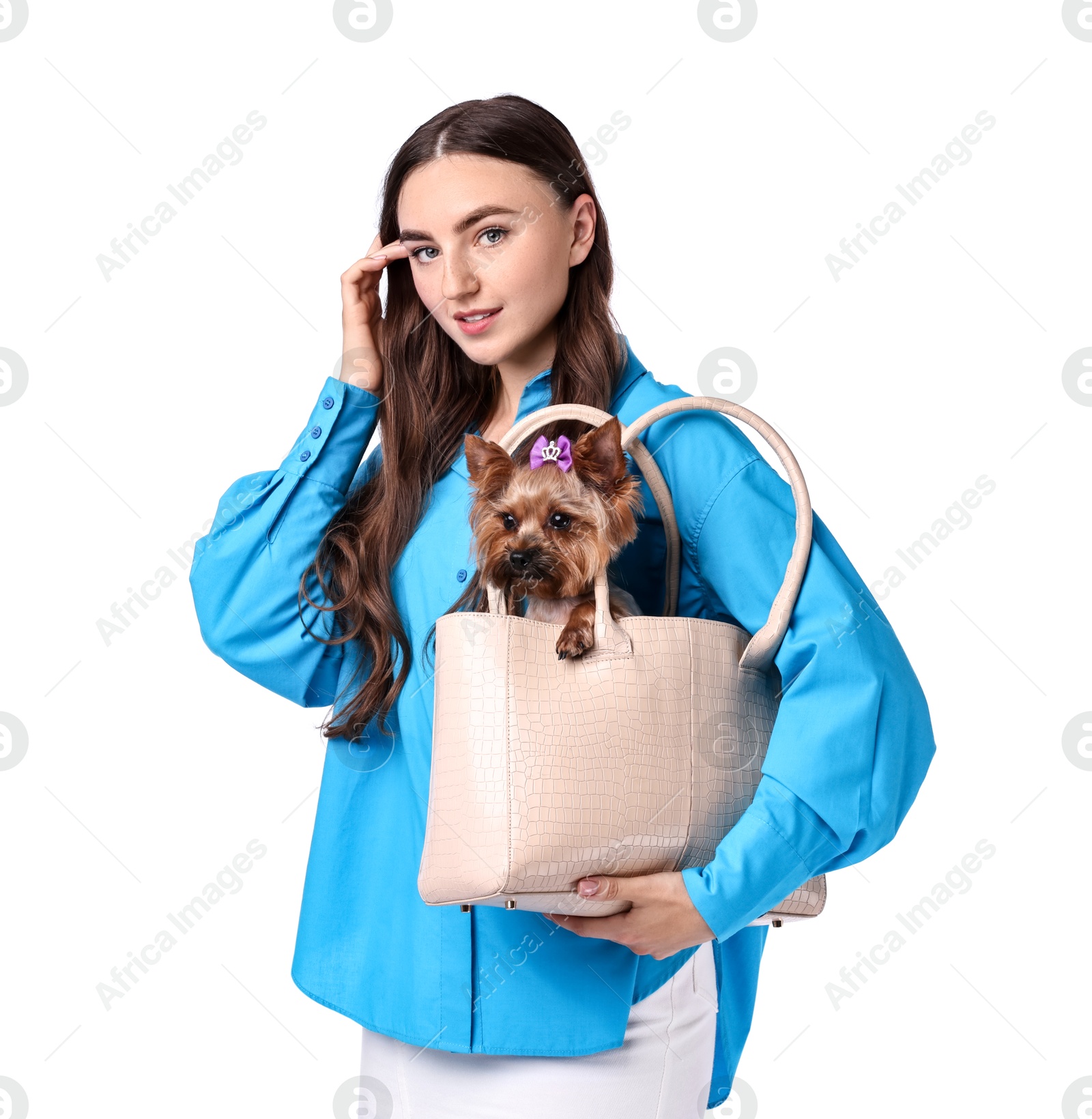 Photo of Beautiful young woman carrying cute Yorkshire Terrier dog in bag isolated on white