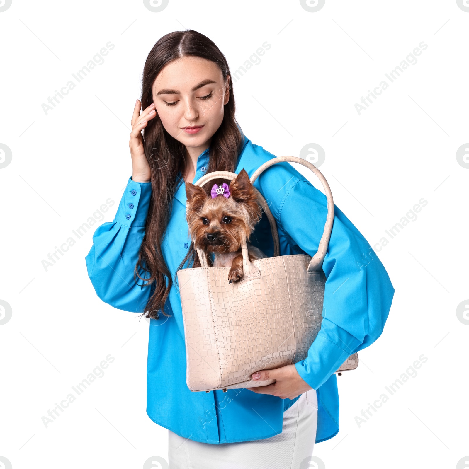 Photo of Beautiful young woman carrying cute Yorkshire Terrier dog in bag isolated on white