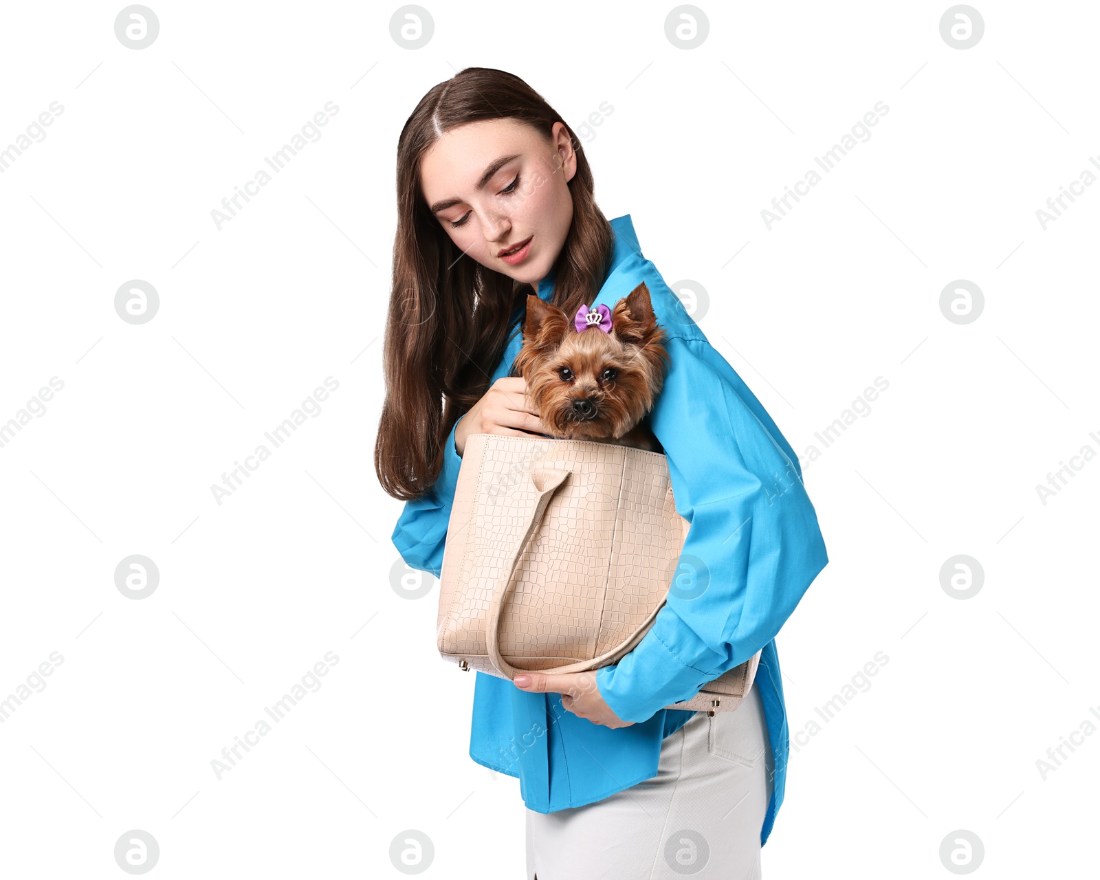 Photo of Beautiful young woman holding bag with cute Yorkshire Terrier dog isolated on white