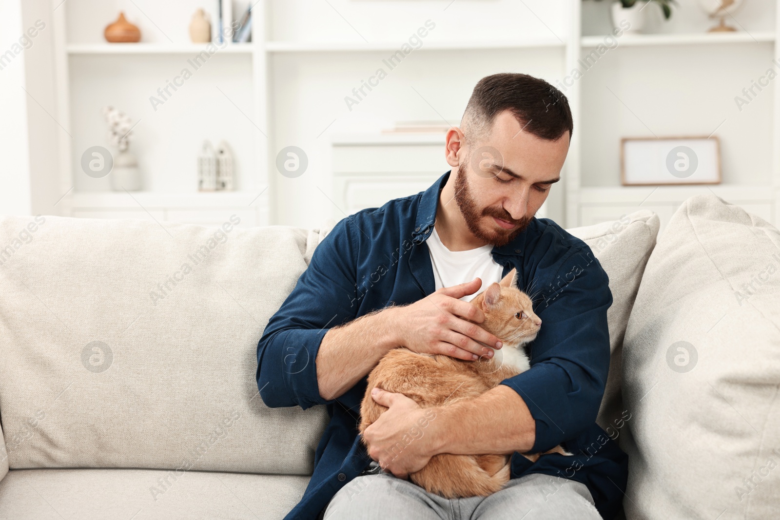 Photo of Man petting cute ginger cat on sofa at home