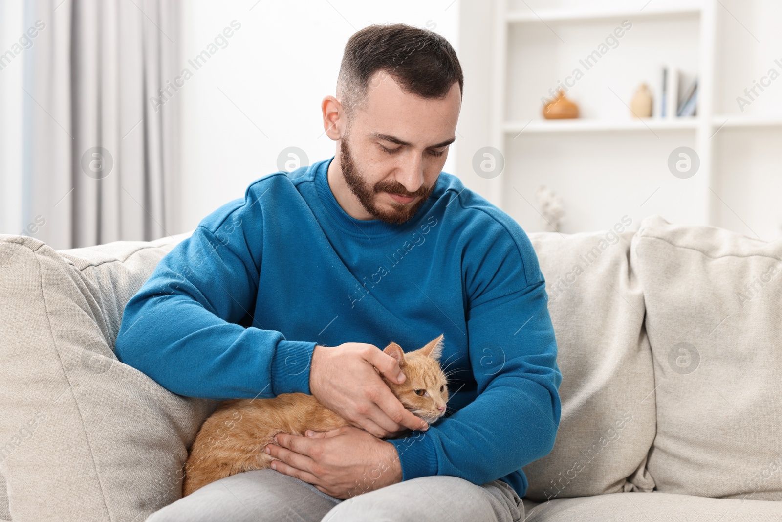 Photo of Man petting cute ginger cat on sofa at home