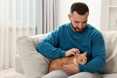 Man petting cute ginger cat on sofa at home