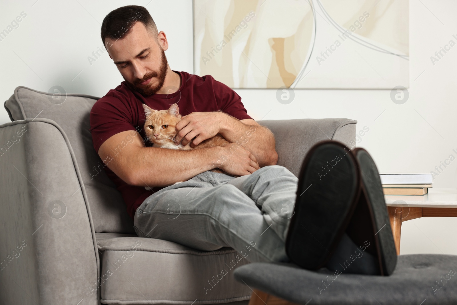 Photo of Man petting cute ginger cat on armchair at home