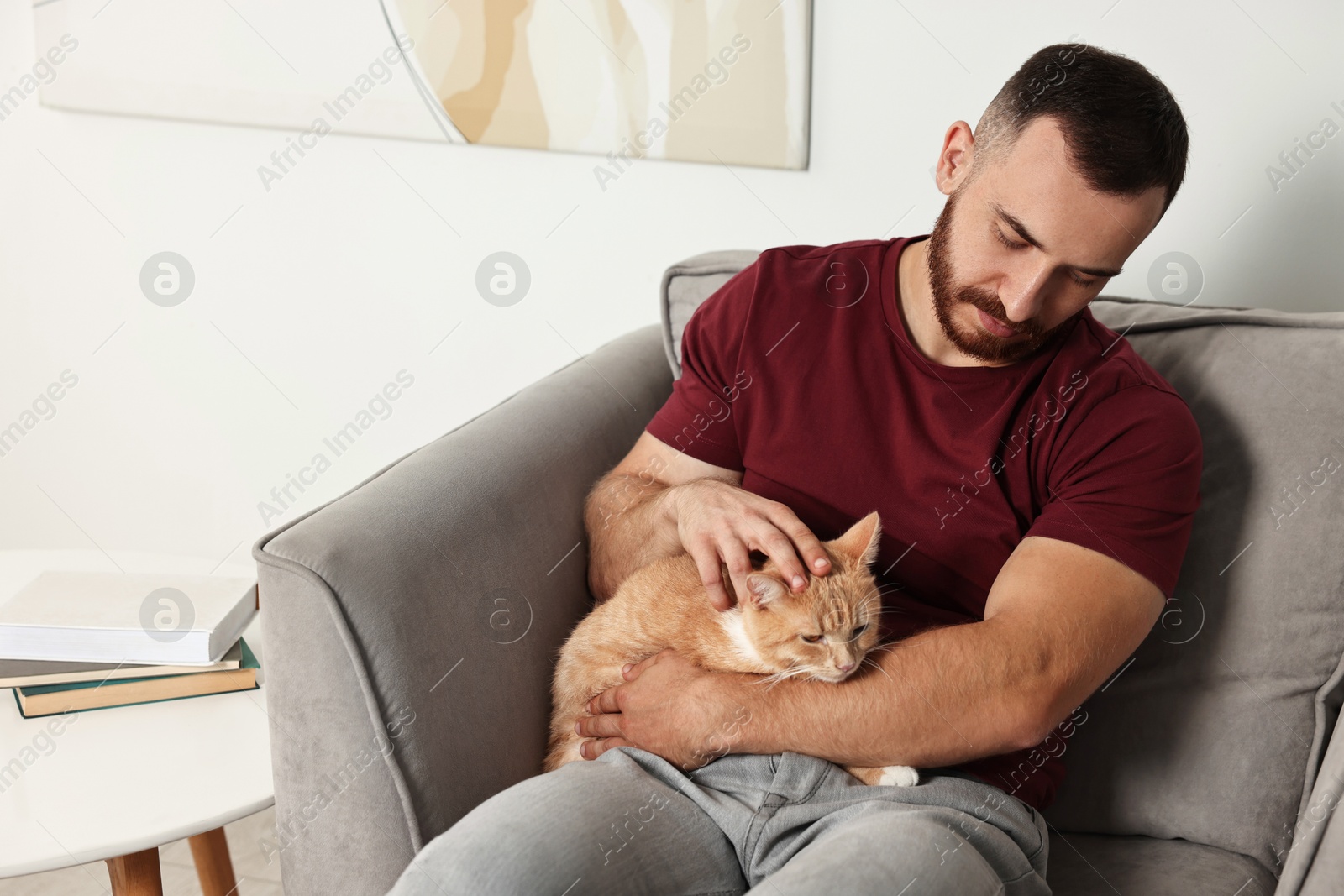 Photo of Man petting cute ginger cat on armchair at home