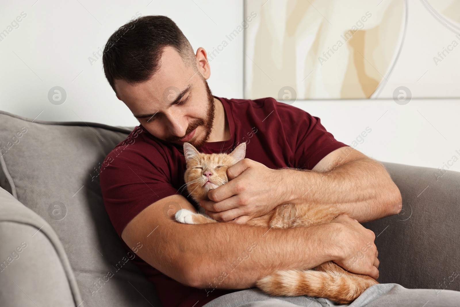 Photo of Man petting cute ginger cat on armchair at home