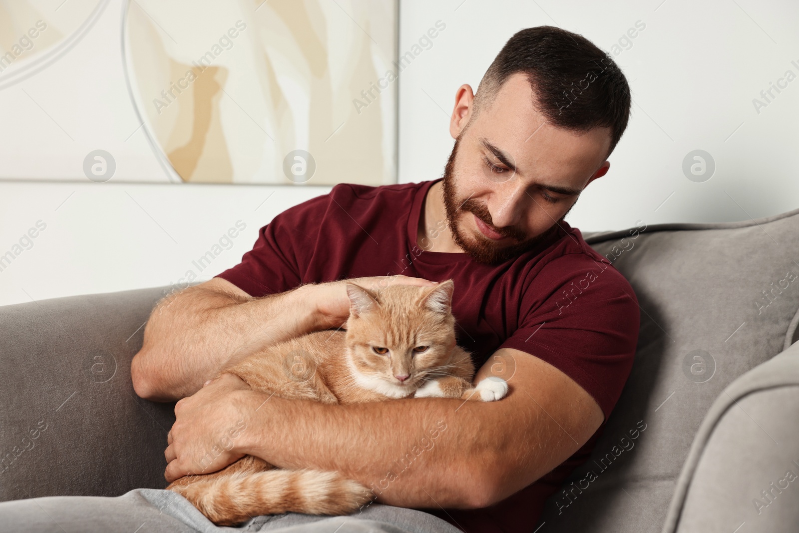 Photo of Man petting cute ginger cat on armchair at home