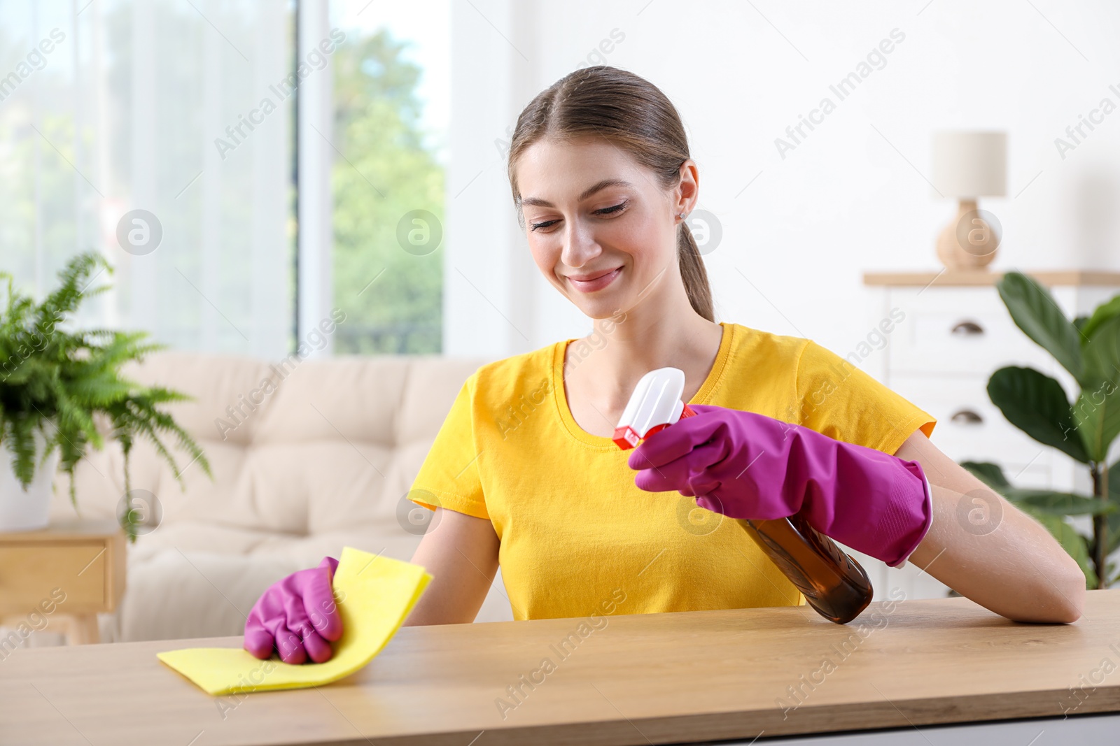 Photo of Young woman cleaning table with rag and spray at home